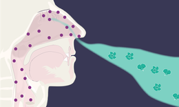 Tăng sức đề kháng để phòng bệnh tai mũi họng trong mùa đông