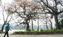 Nguyên nhân nền nhiệt mùa đông 2025 cao hơn trung bình nhiều năm