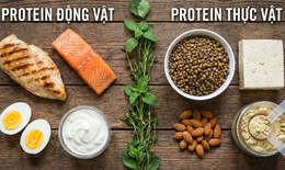 Protein động vật và protein thực vật - loại nào tốt hơn?