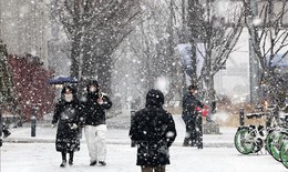 H&#224;n Quốc: Ban bố cảnh b&#225;o thảm họa do tuyết rơi d&#224;y đặc