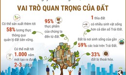 Ng&#224;y Đất Thế giới 5/12: Vai tr&#242; quan trọng của đất