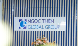 Tập đo&#224;n Ngọc Thi&#234;n Global vi phạm lĩnh vực chứng kho&#225;n