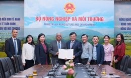 ADB viện trợ 2 triệu USD gi&#250;p Việt Nam khắc phục hậu quả mưa lũ miền Trung