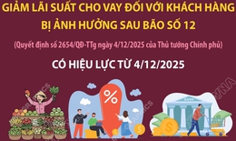 Giảm l&#227;i suất cho vay đối với kh&#225;ch h&#224;ng bị ảnh hưởng sau b&#227;o số 12