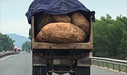 Truy t&#236;m xe tải l&#224;m rơi đ&#225; khiến 2 người thương vong ở L&#226;m Đồng