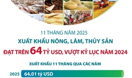11 th&#225;ng năm 2025: Xuất khẩu n&#244;ng, l&#226;m, thủy sản đạt tr&#234;n 64 tỷ USD, vượt kỷ lục năm 2024