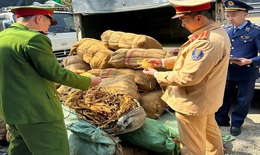 Phát hiện gần 3 tấn lá cây thuốc lá sấy khô không rõ nguồn gốc
