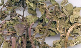 4 vị thuốc tốt cho người mắc Hội chứng ruột kích thích