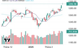 Xu hướng chứng kho&#225;n 21/2, tận dụng nhịp giảm mua th&#234;m cổ phiếu