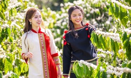 Nhiều hoạt động đặc sắc, ấn tượng tại Lễ hội Cà phê Buôn Ma Thuột năm 2025