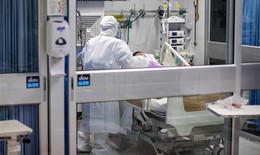Thái Lan tăng cường kiểm soát khi virus H5N1 lây sang động vật có vú