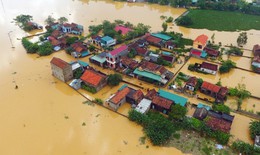 Thống nhất x&#243;a bỏ t&#234;n b&#227;o Yagi v&#224; Tr&#224; Mi