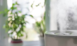 Các chất tạo mùi thơm gây ô nhiễm không khí trong nhà