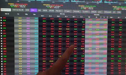 Chứng khoán Việt Nam ngày 3/2 ngược dự báo, mất 12 điểm