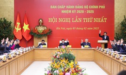Hội nghị lần thứ nhất Ban Chấp hành Đảng bộ Chính phủ nhiệm kỳ 2020-2025 sẽ là dấu mốc lịch sử