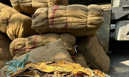 Bắt giữ gần 2 tấn nguyên liệu thuốc lá lậu trong vòng 10 phút