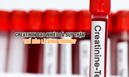 Chỉ số creatinin thế n&#224;o l&#224; b&#236;nh thường?