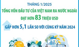 Tháng 1/2025: Đầu tư của Việt Nam ra nước ngoài gấp hơn 5,1 lần so với cùng kỳ năm 2024