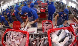 Tháng 1, tổng kim ngạch xuất nhập khẩu Việt Nam - Hoa Kỳ đạt hơn 11 tỷ USD