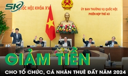 Thống nhất giảm 30% tiền thuê đất phải nộp năm 2024 cho tổ chức, hộ gia đình, cá nhân

