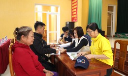Hỗ trợ gần 1,76 tỷ đồng cho Yên Bái cải tạo đất nông nghiệp bị vùi lấp sau bão Yagi