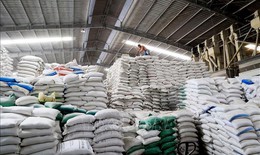Gi&#225; gạo nội địa v&#224; xuất khẩu nh&#237;ch dần