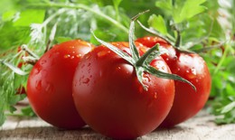 Lý do ăn cà chua giảm nguy cơ mắc một số loại ung thư