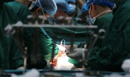 Bộ Y tế: Tăng cường chăm sóc sức khỏe, phòng chống bệnh nghề nghiệp cho nhân viên trong ngành