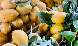 Loại quả được ví như thuốc bổ bán đầy chợ Việt giá chỉ vài chục nghìn đồng/kg