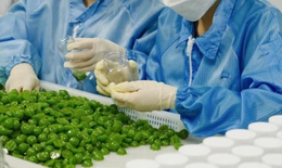 Tác hại của chất tạo ngọt sorbitol có trong kẹo rau củ Kera