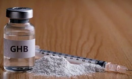 2 thanh niên nhập viện do ngộ độc 'ma tuý nước biển'