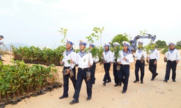 Hải quân trồng thí điểm bổ sung rừng phủ xanh bán đảo Cam Ranh
