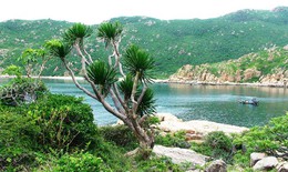 Ninh Thuận tham vấn ý kiến bảo tồn sinh học khu Núi Chúa khi phát triển điện hạt nhân