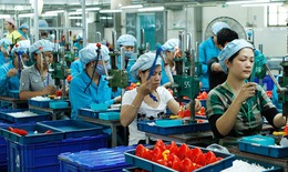 Thủ tướng chỉ thị th&#225;o gỡ kh&#243; khăn, r&#224;o cản, tạo điều kiện tối đa để doanh nghiệp nhỏ v&#224; vừa bứt ph&#225;