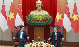 Tổng Bí thư Tô Lâm tiếp Thủ tướng Cộng hòa Singapore