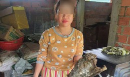 Khởi tố người phụ nữ mua động vật quý hiếm giấu vào tủ đông lạnh