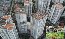 Người bán rau gặp khó khi đăng ký mua nhà ở xã hội, Bộ Xây dựng trả lời thế nào?