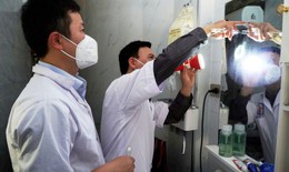 H&#224; Tĩnh xuất hiện ca sốt r&#233;t ngoại lai 