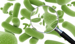 Nhiễm nấm đường ruột nguy hiểm như nào?