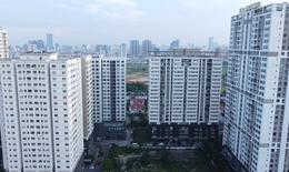 Đánh giá nguy cơ động đất ở từng tỉnh thành để xây dựng tiêu chuẩn công trình xây dựng
