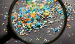 Khó ngờ với con đường vi nhựa xâm nhập vào cơ thể