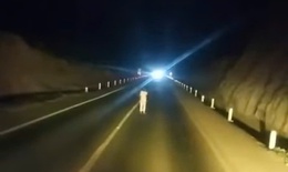 Video người phụ nữ mặc đồ trắng đi bộ trên cao tốc trong đêm