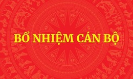 Thủ tướng ph&#234; chuẩn, miễn nhiệm chức vụ Ph&#243; chủ tịch UBND của 4 tỉnh