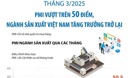 Tháng 3/2025: PMI vượt trên 50 điểm, ngành sản xuất Việt Nam tăng trưởng trở lại