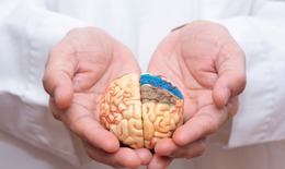 Hiểm họa Prion: Nguy cơ từ thực phẩm bạn ăn mỗi ngày