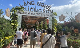 T&#224;u biển quốc tế đưa 550 du kh&#225;ch đến Kh&#225;nh H&#242;a thăm l&#224;ng nghề, đồng l&#250;a