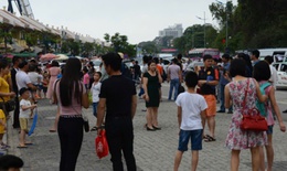 Quảng Ninh: Xác minh thông tin lái xe điện 'chặt chém', dọa du khách