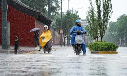 Bộ Nông nghiệp và Môi trường chỉ đạo ứng phó với không khí lạnh và mưa lớn