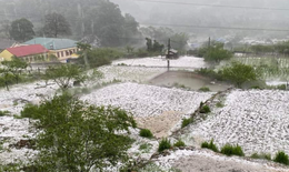 Kh&#244;ng kh&#237; lạnh tr&#224;n về, cảnh b&#225;o d&#244;ng lốc k&#232;m mưa đ&#225; ở H&#224; Nội tối nay