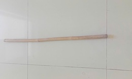 Trường tiểu học Tén Tằn báo cáo gì vụ học sinh bị thương 'vùng kín'?